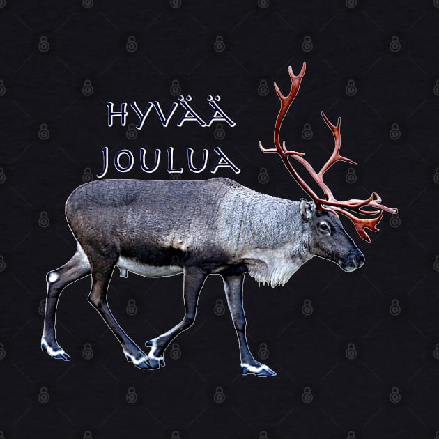 Hyvaa Joulua by FotoJarmo